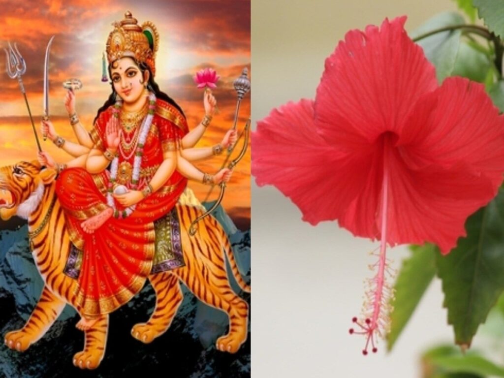 Navratri 2024: Honor the Nine Goddesses with Their Favorite Flowers for Family Blessings!