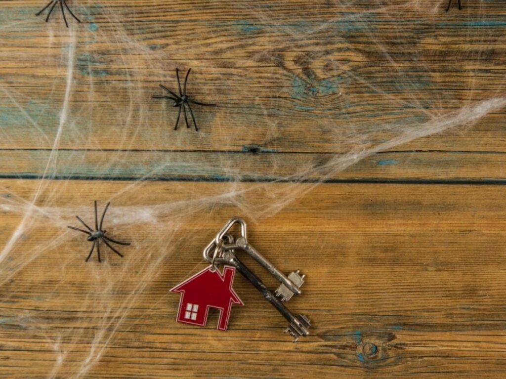 Get Rid of Spiders Fast: Effective Tips to Tackle Webs at Home