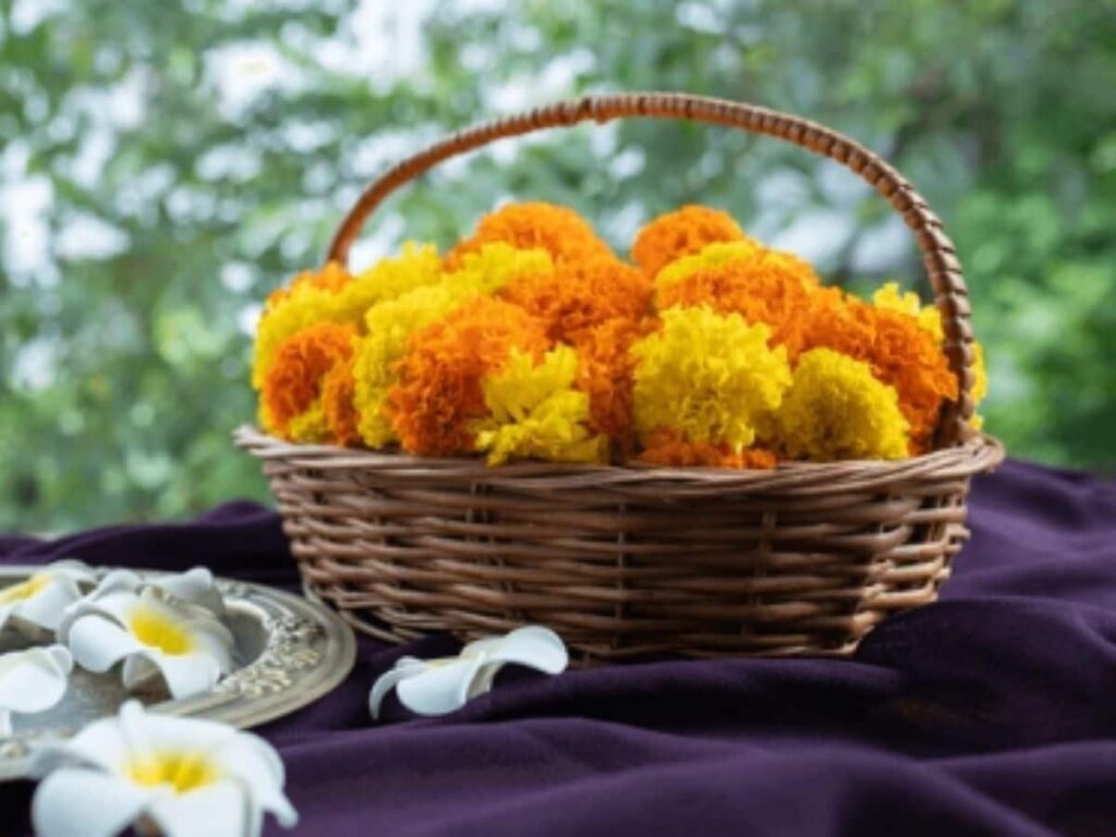 Revive Your Rituals: Brilliant Tips for Reusing Puja Flowers!